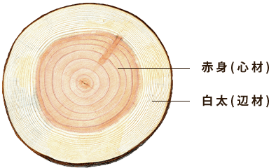 国産無垢材100%の木造注文住宅